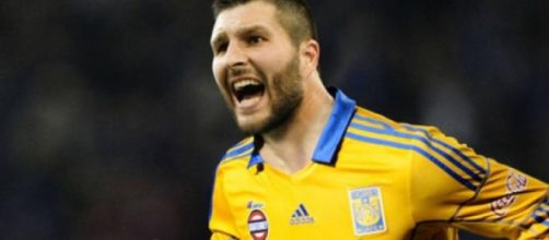 Tigres finalista de la Libertadores