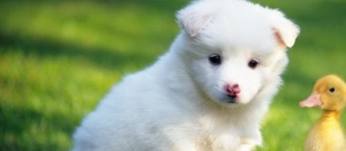 Todos tenemos derechos a ser respetados y queridos