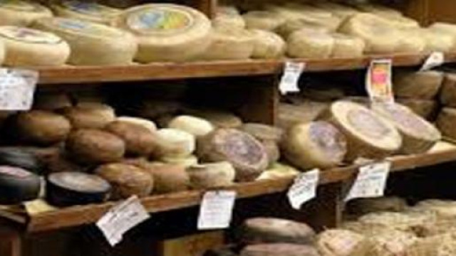 forme di pecorino toscano