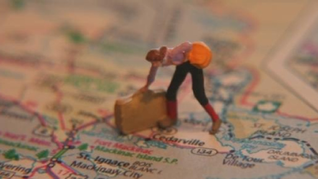 Le tre cose da inserire e scegliere nella domanda