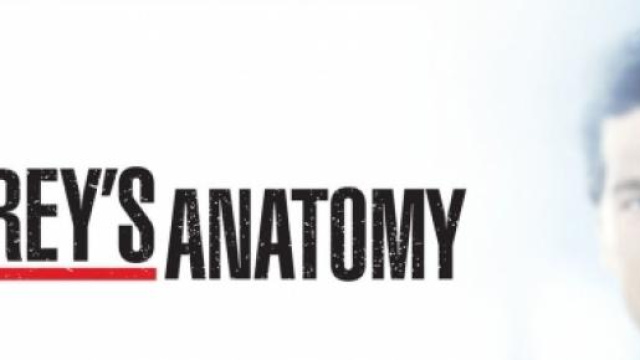 Meredith e Derek , il logo della serie.