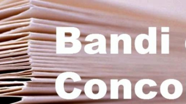Concorsi Pubblici agosto 2015