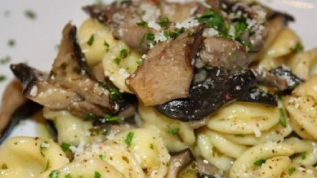 Le orecchiette ai funghi porcini