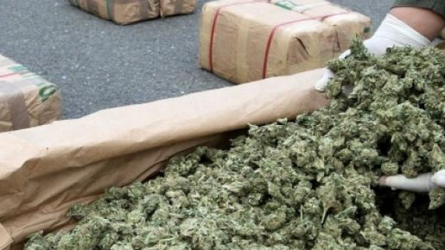 Quali vantaggi con legalizzazione della cannabis