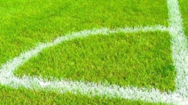 Serie B 2015-16: chi spera nel ripescaggio?