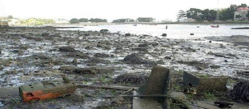 Lodos y contaminaci&oacute;n en la r&iacute;a de O Burgo