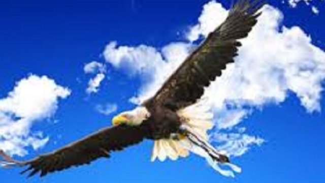 Calciomercato Lazio: ultime news