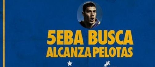 El hincha puede participar para ser alcanzapelotas