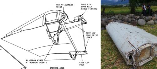 Aler&oacute;n hallado en la isla Reuni&oacute;n