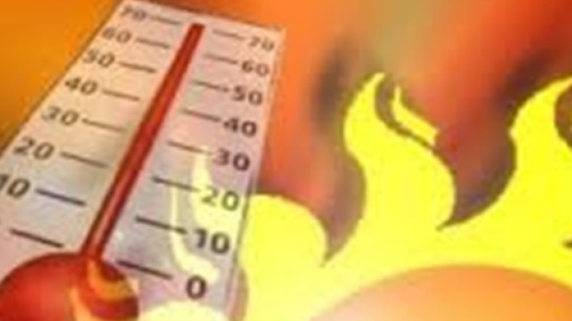 Alte temperature nella prima settimana di agosto.