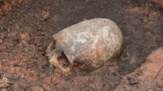 Il teschio 'alieno' (fonte XXI Century - Youtube)