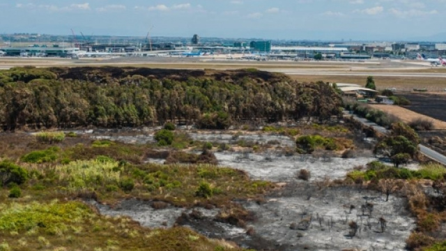 Video della rabbia a Fiumicino