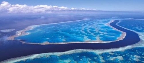 "Piensa el sentimiento, siente el pensamiento"