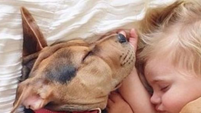Bambini in ospedale in compagnia del proprio cane