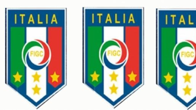La FIGC, organizza e controlla il calcio in Italia