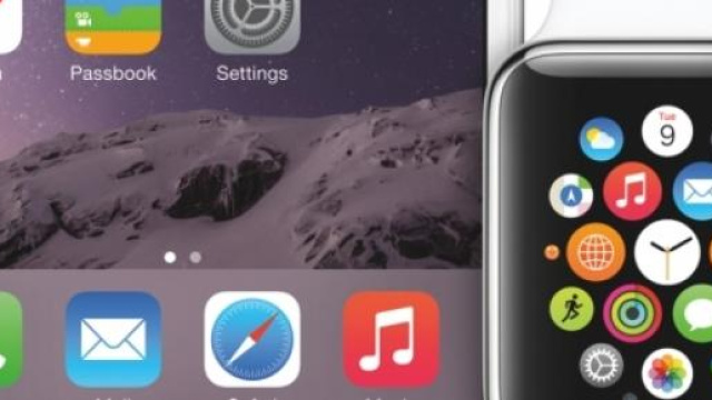 Apple Watch vendite in calo