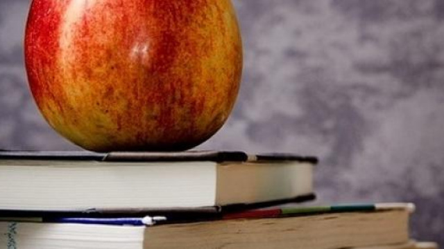 DDL scuola, concorso e mobilit&agrave; 2016