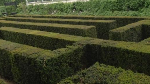 Passa il Ddl scuola, manca la firma del Presidente