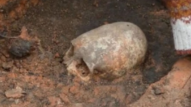 Il cranio 'extraterrestre' di Arkaim
