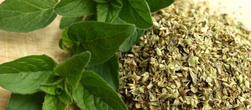 Os benef&iacute;cios do or&eacute;gano. Imagem: pixabay.