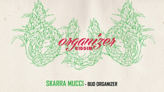 Bud organizer Riddim con il noto Skarra Mucci