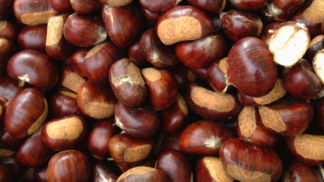 Dessert fatto con crema di castagne e mele