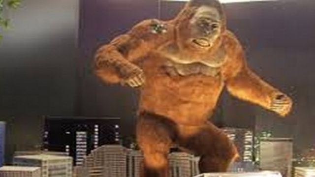 Programmi alla TV sabato 15 agosto