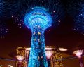 Singapur: de paseo por los parques de Gardens By The Bay