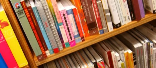 La literatura infantil es un h&aacute;bito