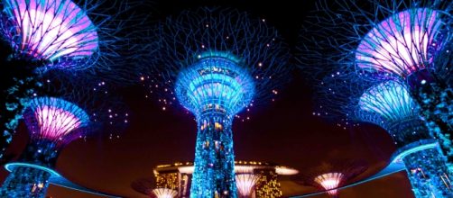 Vista nocturna con los &aacute;rboles artificiales