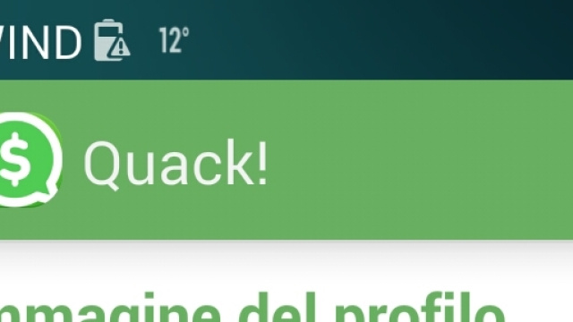 Quack! Messanger app su android