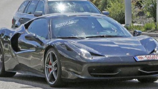 Il muletto avvistato in Germania.