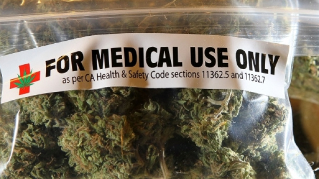 La cannabis pu&ograve; curare il cancro al cervello?