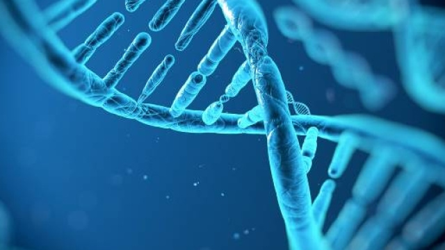 Scultore del DNA contro tumori