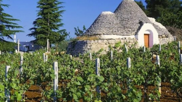 Una donna &egrave; morta per 2 euro l'ora, troppo lavoro!