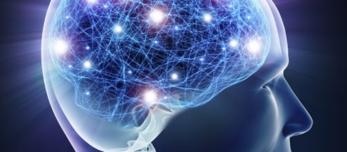 Las conexiones que crean las im&aacute;genes mentales