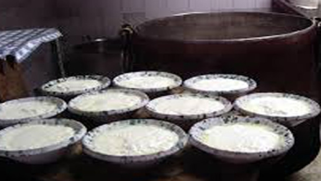 Latticini prodotti con latte vaccino