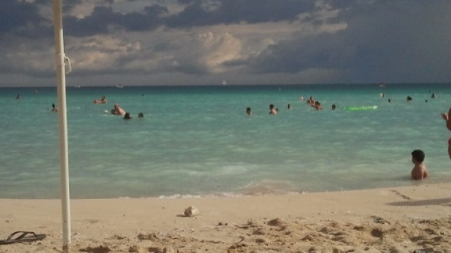 In alcuni luoghi &egrave; stata avvistata l'alga tossica