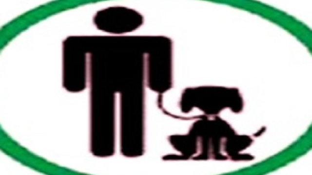 Fido nel carrello della spesa.