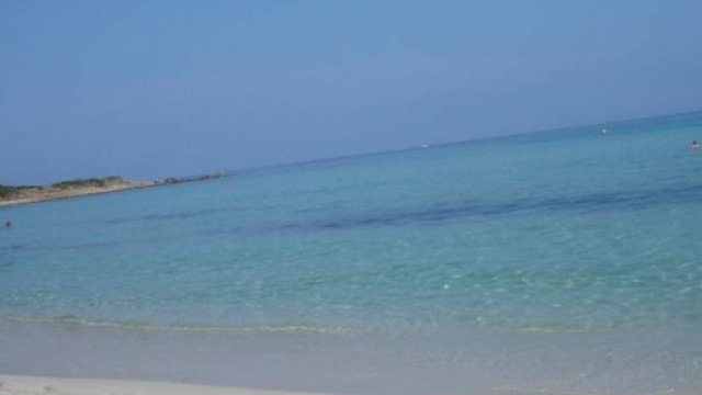 L'alga tossica &egrave; stata riscontrata in alcune zone.