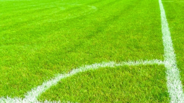 Pronostici Europa League 27 agosto