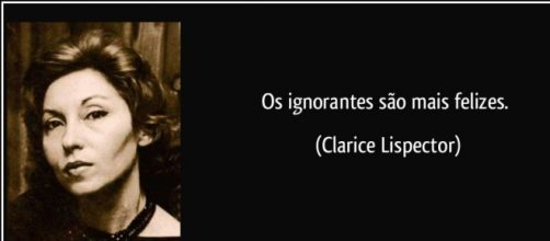 A defini&ccedil;&atilde;o perfeita da busca pelo conhecimento