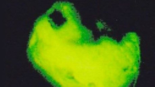 Immagine delle particelle agglomerate