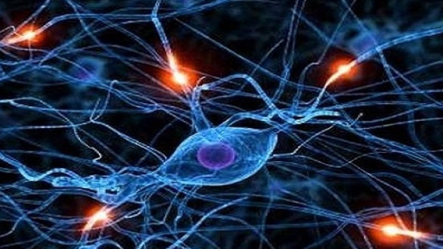 Punti Illuminati nel Processo Molecolare studiato