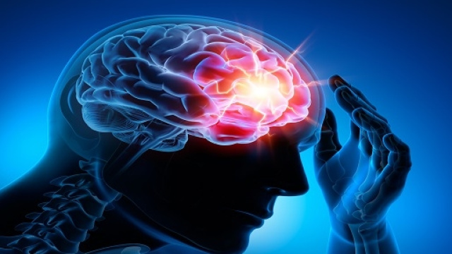 Il Centro del Dolore Nel Cervello Umano