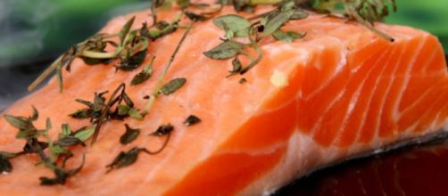 Dieta do peixe, emagre&ccedil;a com sa&uacute;de
