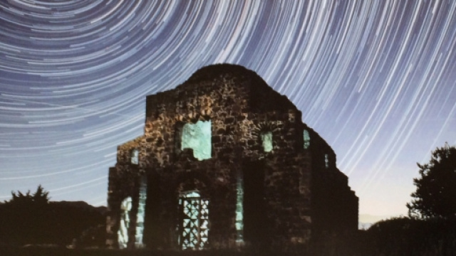 Una strepitosa fotografia di un'artista emergente