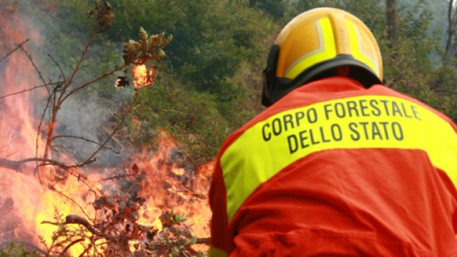 Corpo Forestale dello Stato in azione antincendi