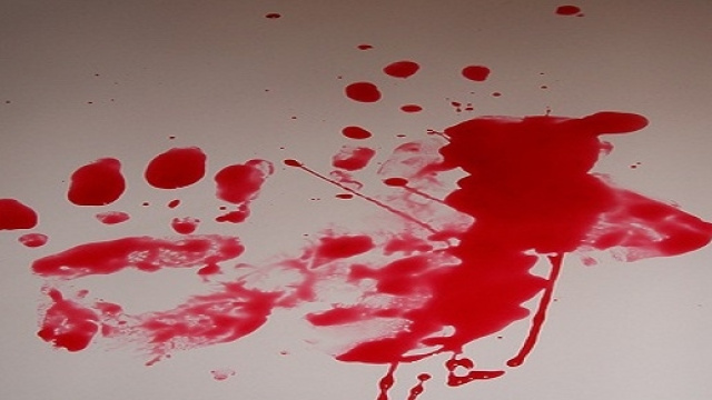 Elena Ceste, prove schiaccianti contro Michele