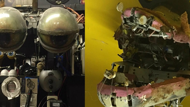 Five Nights At Freddy's, due degli animatronics